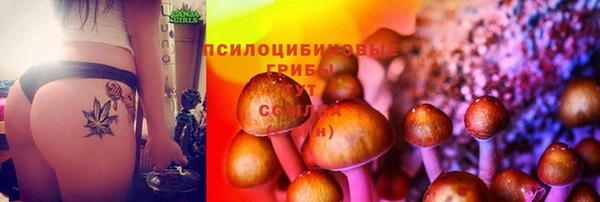 сатива Абинск