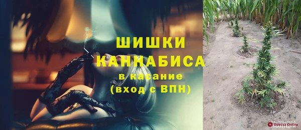 сатива Абинск