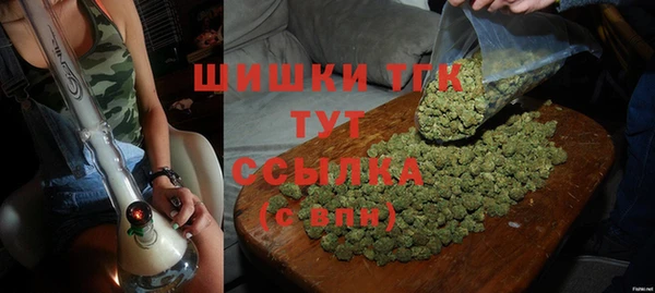 сатива Абинск
