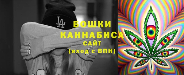 сатива Абинск